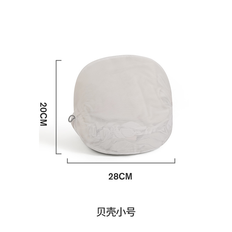 Petite coquille de taille 20*28cm