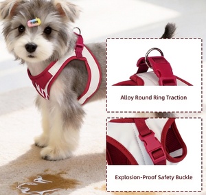 Arnés <span class=keywords><strong>de</strong></span> Pecho para Perro Pequeño, Estilo Academia, Lindo y Moderno, para Paseos, Ideal para Bichón Frisé y Teddy - Product Image 5