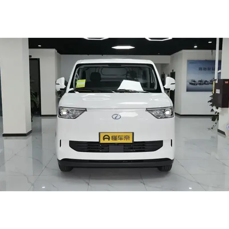 Top sale Dongfeng Ruichi EC75 2 seater electric mini van bus 4x2 LHD mini cargo box van