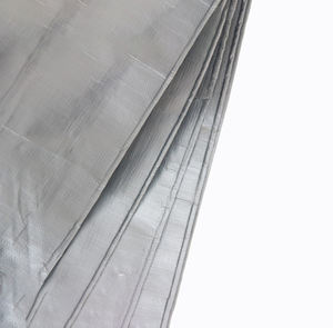 Serre à éclairage naturel transparente, film spécial, semis agricole, protection contre la pluie et le soleil, taille personnalisée - Product Image 3