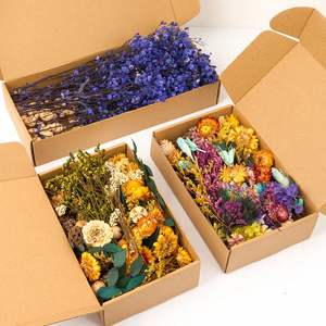 Venta al por mayor conjunto de ramo de flores secas DIY en colores naturales y corona de eucalipto con hierba de Pampa lagurus <span class=keywords><strong>Phalaris</strong></span> - Product Image 1