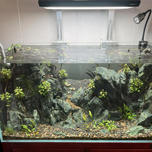 Chinese Draak Steen Voor Decoratie Tuin <span class=keywords><strong>Aquarium</strong></span> - Product Image 3