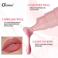 Gloss à lèvres liquide Private Label, haute pigmentation, hydratant, fini mat, non collant, longue tenue, waterproof