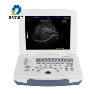 Escáner de Ultrasonido Portátil EURVET en Blanco y Negro, Equipo de Ultrasonido <span class=keywords><strong>DAWEI</strong></span> DW-580 - Product Image 3