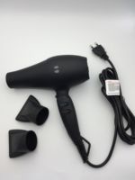 Sèche-cheveux professionnel 2100W portable à moteur AC ionique avec diffuseur pour hôtels, camping-cars et usage commercial – Vente en gros usine