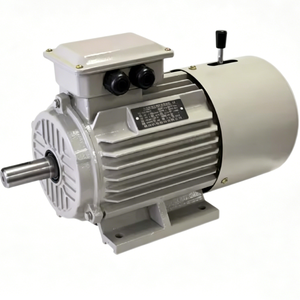 มอเตอร์อะซิงโครนัสสามเฟสแบบมีเบรกในตัวแนวนอน YEJ-80M1-4 0.55 กิโลวัตต์ 0.75 แรงม้า 1500 รอบต่อนาที 380 โวลต์ 50/60 เฮิรตซ์ - Product Image 1