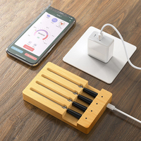 Four à viande en bambou Smart BBQ Thermomètre Boîte Viande Bluetooth Thermomètre Organisateur de stockage Thermomètre à viande sans fil avec sonde