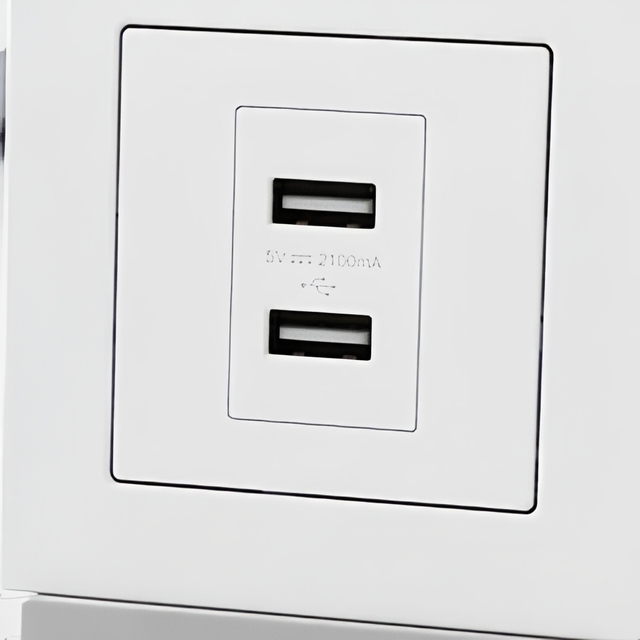 Advanced Dual Port USB Wall Socket With Type C 2.1A Fast Charging Outlet Matte White Slim Plate for Business Office