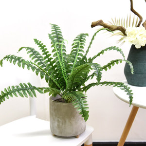 Planta Artificial de Hoja Persa Greenway, Decoración de Helecho, Planta en Maceta para Interiores, Adorno para Sala de Estar, Bonsái Pequeño - Product Image 4