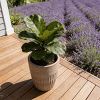 Ensemble de pots à fleurs en céramique de style américain, texture côtelée, beige, écologique, durable, finition émaillée, pour la maison, l'intérieur, l'extérieur, le jardin