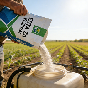 <span class=keywords><strong>Engrais</strong></span> au zinc chélaté EDTA <span class=keywords><strong>15</strong></span>% - Haute biodisponibilité pour toutes les cultures commerciales et agricoles - Product Image 4