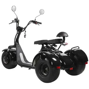 Les douanes et les taxes de l'entrepôt des États-Unis incluent le tricycle citycoco de style classique à 3 roues 25MPH 60v20ah 2000W X7 - Product Image 3