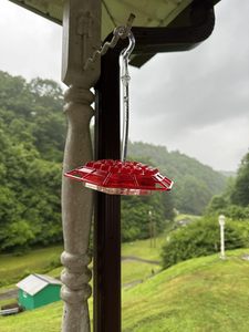 Comedero Colgante para Colibríes con Puertos y Foso Antimosquitos, Resistente a Insectos, Precio de Fábrica - Product Image 5