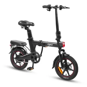 Penjualan Laris Sepeda Motor E-bike 48V Baterai Lithium Sepeda Lipat 2 Orang Sepeda Listrik Sepeda Lipat Sepeda Listrik