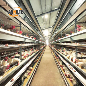 Annilte PP Phân vành đai cho các trang trại lớn | mịn chạy và tiếng ồn thấp tùy chỉnh - Product Image 6