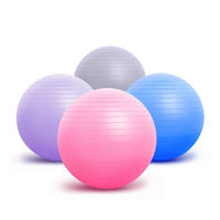 Pelota de Yoga de PVC Antiexplosión Premium para Pilates, Desinflado Lento, Alta Elasticidad, Color Personalizado, Bajo MOQ, Pelota de Ejercicio