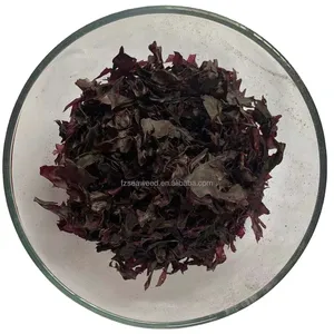 干海藻片Palmaria Palmata Dulse