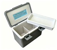 Glacière à injection 10L couleur personnalisée RL-10, design professionnel élégant vs robuste rotomoulé, boîte thermique portable pour branding professionnel
