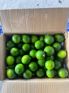 Limón sin semillas fresco Premium de Vietnam | Fabricante mayorista de exportación de cítricos orgánicos - Product Image 5