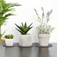 12 sous-verres absorbants pour plantes, 3 tailles (4/6/8 pouces), réversibles, en feutre rond, pour plantes d'intérieur