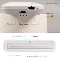 Lumière LED pour armoire Bande lumineuse d'entrée intelligente Capteur magnétique sans fil rechargeable pour corps humain Capteur de lumière pour armoire