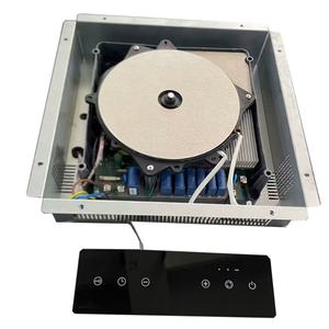 Placa de Inducción Oculta de 3000W para Encimera - Product Image 1