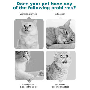 โรงงานขายส่งเม็ดโปรไบโอติกอบแห้ง ช่วยปกป้องระบบย่อยอาหาร เหมาะสำหรับแมว สุนัข อาหารเสริมสำหรับสัตว์เลี้ยง - Product Image 2