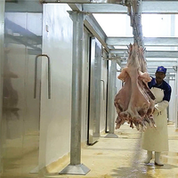 Matadero de carne de cabra de 100 cabezas por día para planta de matadero de ovejas