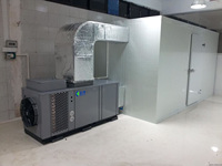 Nieuwe KINKAI Hoogcapaciteits Automatische Chili Droger Energiezuinig 300-600KG Warmtepomp Systeem met Intelligente Vochtigheidsregeling