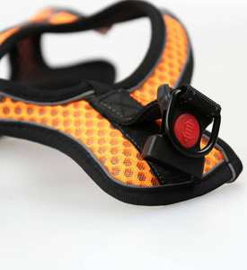 클래식 스타일 반사 고양이 하네스 가죽 끈 세트 내구성 통기성 나일론 메쉬 패브릭 부드러운 개인화 된 야외 워킹 페팅 - Product Image 6