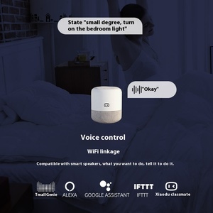 Graffiti personnalisé API WiFi Smart Switch Petit interrupteur de synchronisation sur rail avec télécommande Zigbee pour disjoncteurs de téléphone portable - Product Image 3