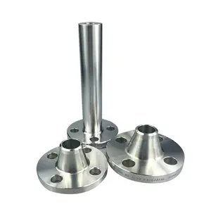Stainless Steel Flange Lwn Wp316/316L Forged Flange