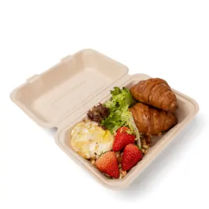 Biodegradable Sugarman Pulp Lunch Box Disposable Meal Restaurant To Go Boxes