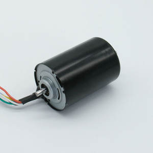 Motor sin escobillas BlDC4266 de 36V CC, motor eléctrico en miniatura para cafeteras, licuadoras, masajeadores, humidificadores, robots aspiradores. - Product Image 3