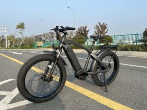 Vélo Électrique Tout-Terrain 1000W à Moteur Central, Pneus Larges 26x4.0, Batterie Dissimulée 48V, VTT Électrique Personnalisable OEM pour Adultes, Haute Puissance, Prestige - Vente en Gros - Product Image 2