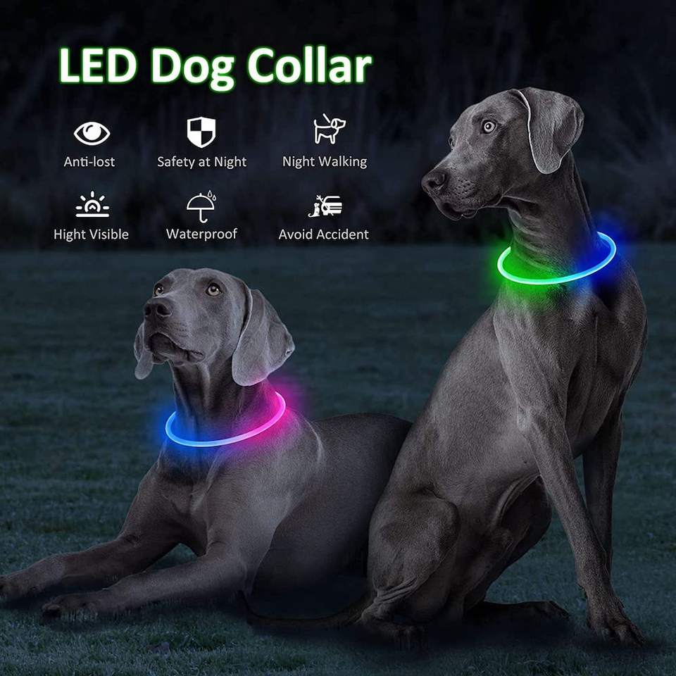 Dual RGB LED Waterproof Dog Collar with Flashing Light - Image 4