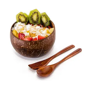 Conjunto de tigelas de côco natural do vietnã, vaso de côco eco, concha, tigela de côco e colher conjunto de