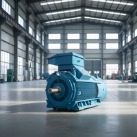 Moteur industriel WEG W20 W21 W22 W50, moteur électrique triphasé à aimant permanent assisté par courant alternatif, 30 kW, 40 kW, 50 kW, 75 kW, certifié IE3