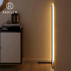 Tối Giản Bắc Âu Môi Trường Xung Quanh Thông Minh Góc Đèn Sàn Nhôm LED RGB Thay Đổi Độ Sáng Dự Án Hợp Đồng Tùy Chỉnh Tối Giản LED Đèn Sàn - Product Image 1