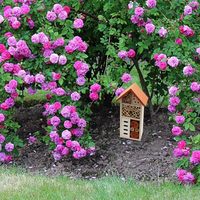 Maison d'insectes en bois, hôtel d'insectes suspendu pour les abeilles, les papillons, les coccinelles, habitat d'insectes bénéfiques, décoration de jardin personnalisée