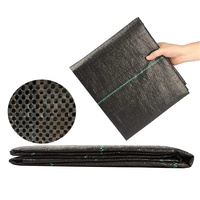 Toile de paillage tissée en PP de haute qualité avec surface gaufrée, résistante aux UV et recyclable, service de découpe pour jardins agricoles