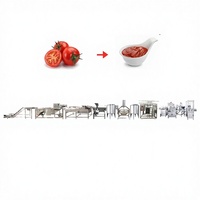 Ligne de production de purée de tomates électrique avec moteur, machine automatique de fabrication de ketchup en acier inoxydable 304
