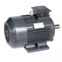 Moteur asynchrone triphasé à cage d'écureuil EPT série YE4 haute efficacité IE4, 0,55-355 kW, isolation F, 50 Hz, protection IP55