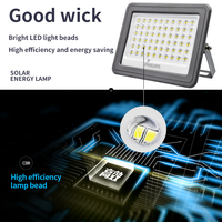 Projecteur solaire intelligent BVC080, lumineux, industriel, étanche IP65, extérieur, réflecteur LED, projecteur solaire de jardin
