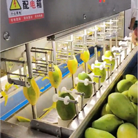 14 Hoofd Wortel Dunschiller Machine Perzik Groente En Fruit Huid Peeling Machine Voor Taro