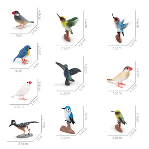 Juego de figuritas de pájaro salvaje simulado de alta precisión para educación cognitiva para niños, juguete de decoración de escritorio - Product Image 4