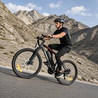 Livraison gratuite Tube d'alimentation par batterie au lithium Vélo électrique Certification CE VTT électrique pour adultes