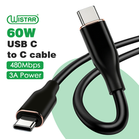 Kabel USB C ke USB C WISTAR dengan Logo Kustom 60W, 1M, Kabel Silikon 60W, Kecepatan Pengisian Cepat, Kabel Data Kompatibel