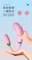 Kleiner Delfin-Saugmassager mit Leck- und Vibrationsfunktion & Vibrationsstab mit 10 Frequenzen, Silikon, wiederaufladbar für Erwachsenen-Vergnügen