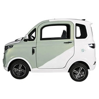 Voiture électrique mini EV EEC à deux portes et trois places, sans permis, pour adultes, fermée, très vendue